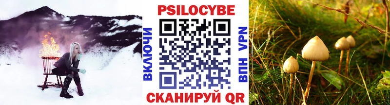 Галлюциногенные грибы Magic Shrooms  дарк нет телеграм  Берёзовский  закладки 